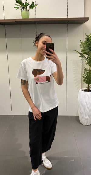 T SHIRT BASSOTTO COLORATO