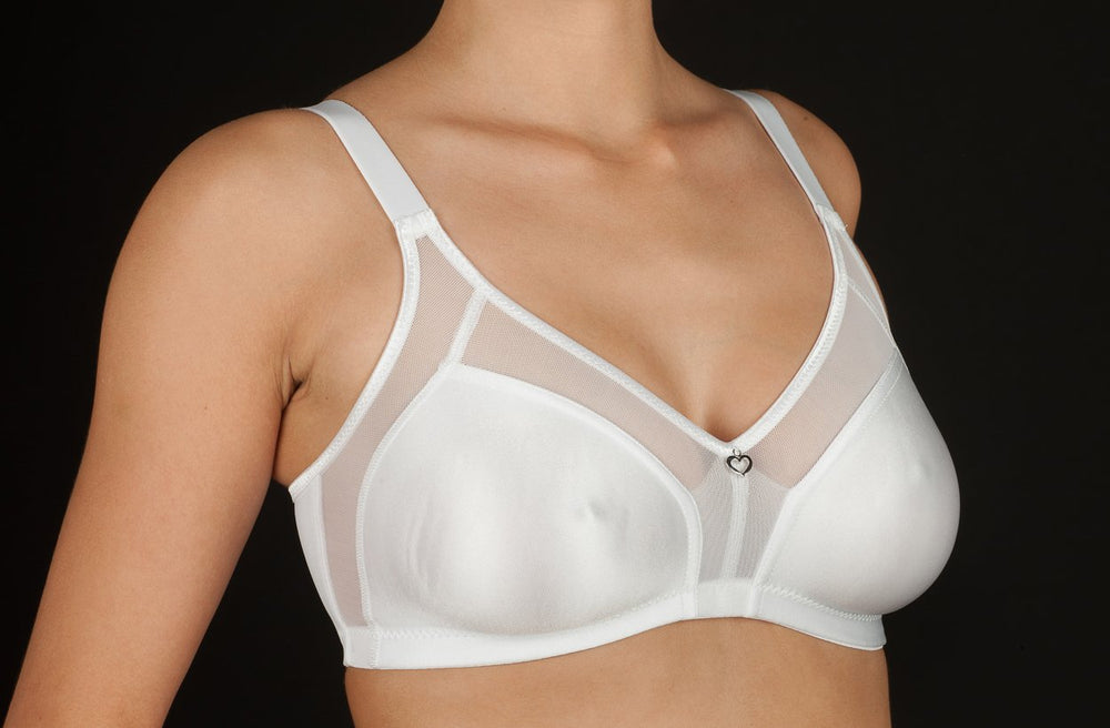 REGGISENO SENZA FRRETTO ESTELA - REDBEN ABBIGLIAMENTO